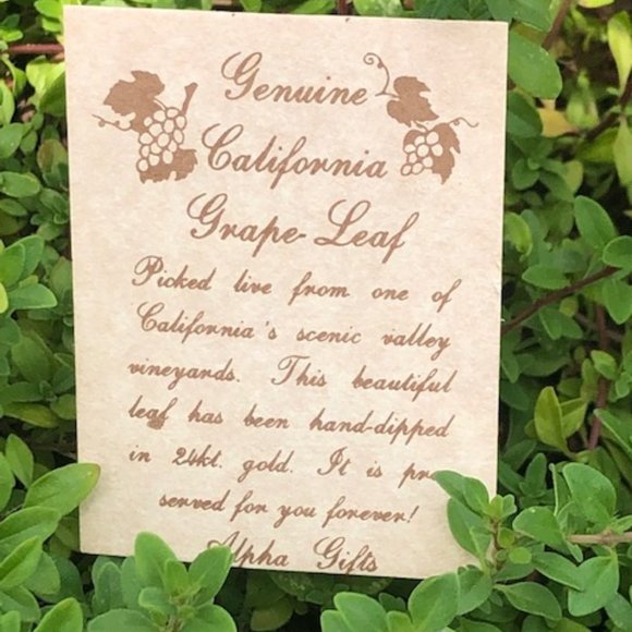 Genuine California Grape Leaf 24k Gold Dipped Vintage - Picture 4 of 9